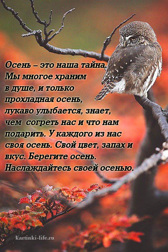 Открытка Последний месяц Осени НОЯБРЬ