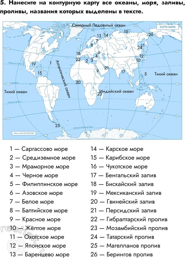 Мировой океан и его части