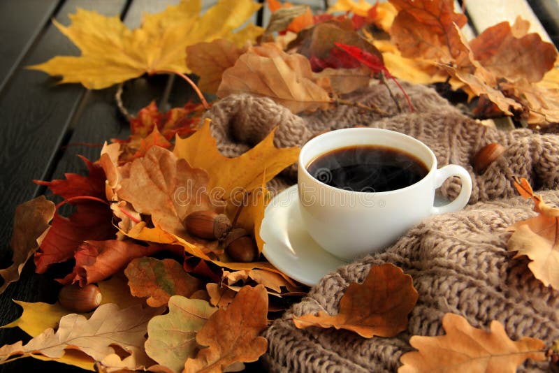 Обои осень, кофе, чашка, клён, autumn, leaves, cup, coffee на ...