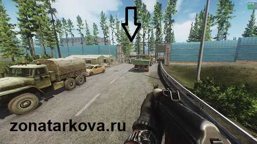 Лес | Escape From Tarkov