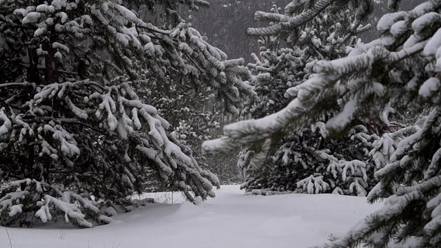 Старые сказки для детей, старые сказки ...