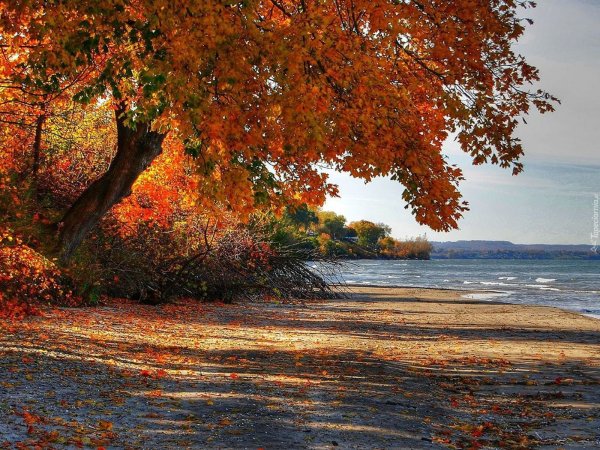 Осень в Одессе началась с шторма на Ланжероне (ФОТО)