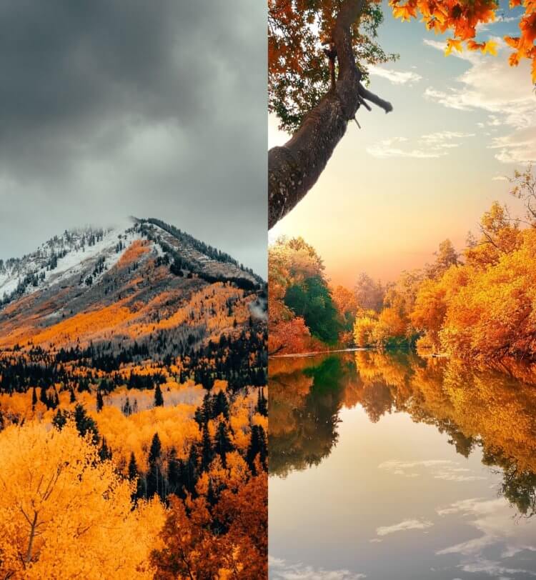 Скачать картинки Aesthetic autumn, стоковые фото Aesthetic ...