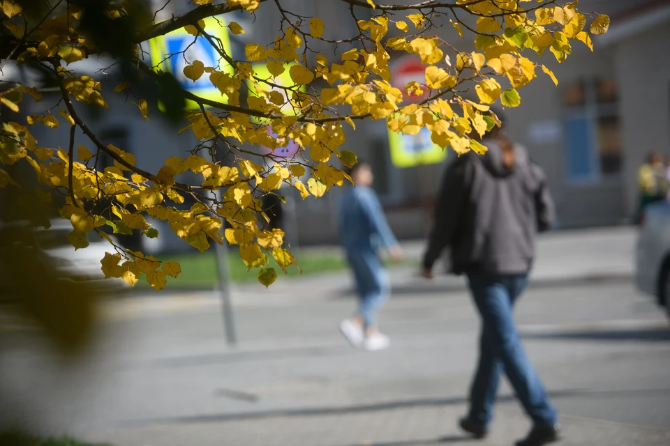 Заморозки в середине сентября и позднее бабье лето: прогноз ...