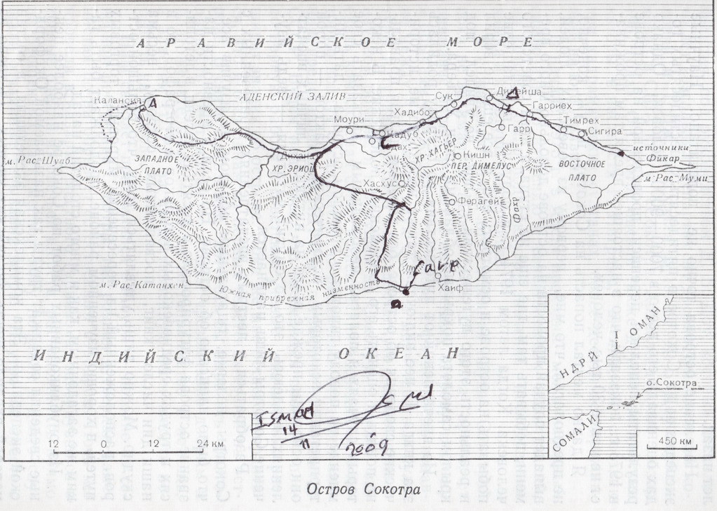 Остров Сокотра Йемен | Остров Сокотра Индийском океане – Мир ...