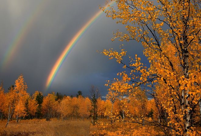 Обои «Осенний пейзаж» (осень озеро лес ...