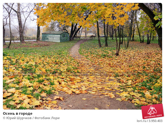 Осень в городе» картина Драгина Игоря маслом на холсте ...