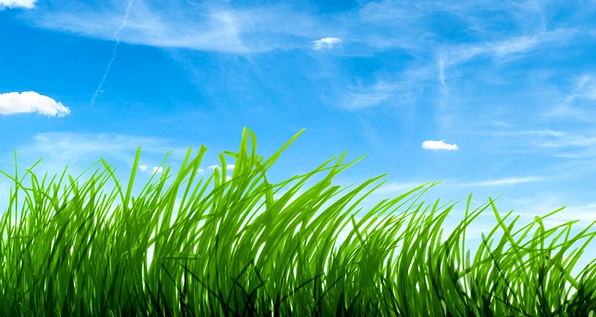 Wallpaper greens, field, the sky, grass, clouds, night, the ...