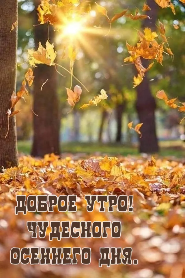 Доброе Утро Гиф Осень