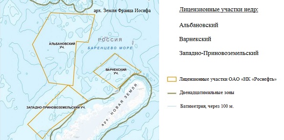 Морские млекопитающие и птицы