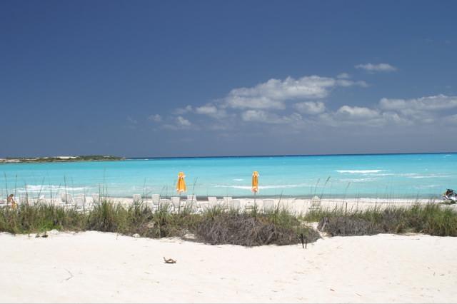 Saona Island Excursion from Bayahibe - AccessTravels