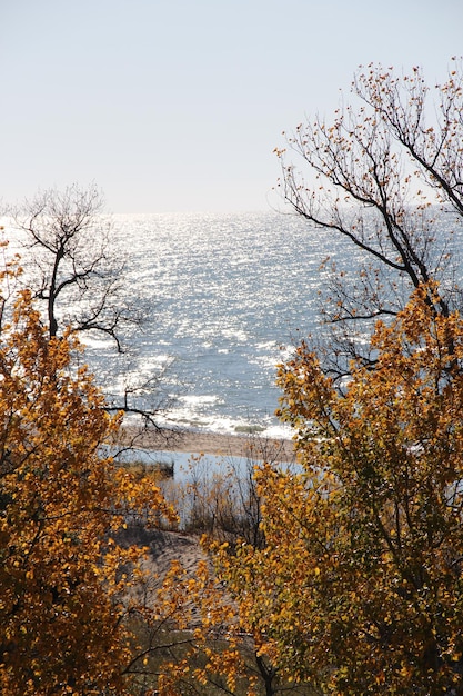 Сосны и море... Фаселис, Турция, осень 2012