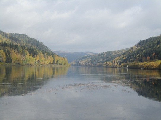 Отзыв о Зоопарк (Россия, Зеленогорск, Красноярский край ...