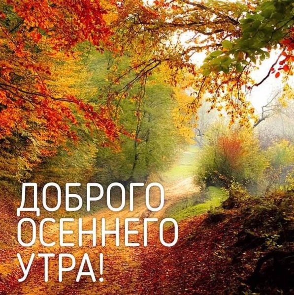 Открытки доброе утро осень природа красиво с надписью