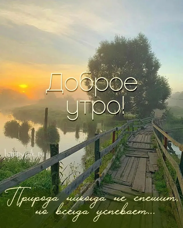 Доброе Утро и Осень: истории из жизни, советы, новости и юмор ...