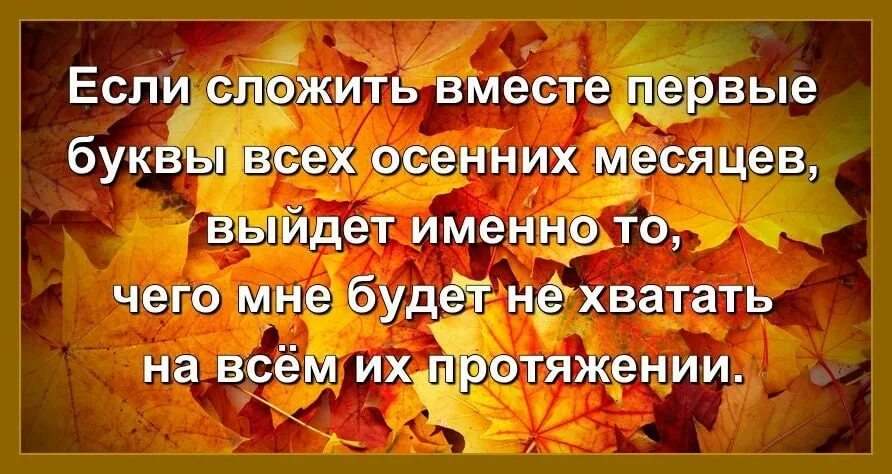 Идеи на тему «Осенний юмор» (33) | осень, юмор, веселые картинки