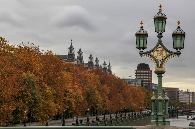 Осень в Москве | Пикабу