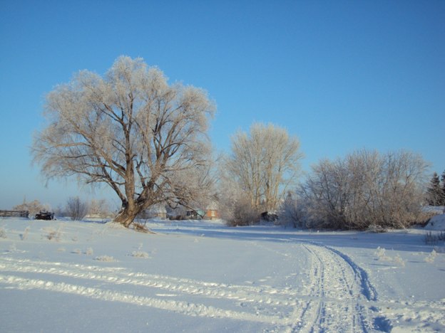 Зимний Любинский», который омичи ломали из-за эффектных фото ...