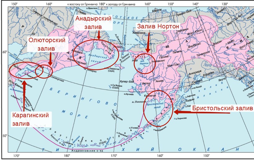 Берингово море: описание, где находится, глубины, флора и фауна