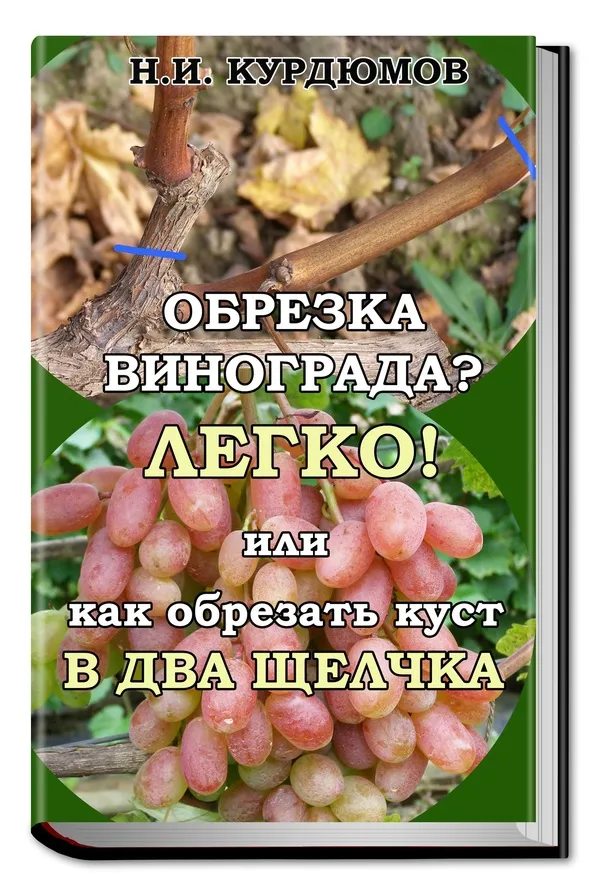 Осенняя обрезка винограда - как правильно сделать? | Алеста ...