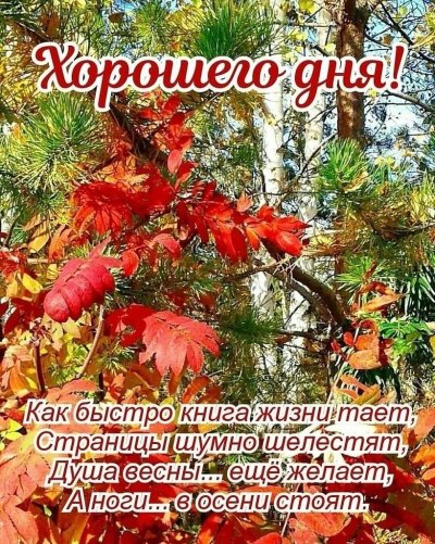 🍂🍁 ДОБРОЕ УТРО, ДРУЗЬЯ! ОТЛИЧНОГО ДНЯ! 🍁🍂 Последние ...