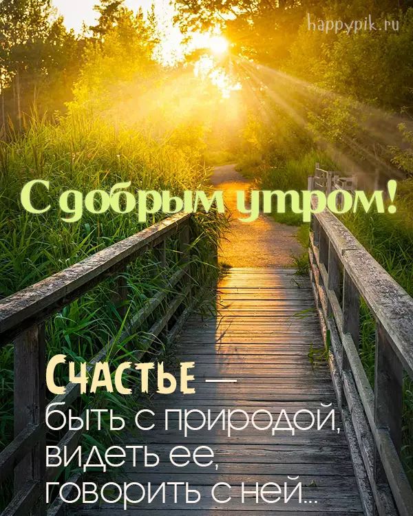 Доброе утро природа лето (140 фото) »