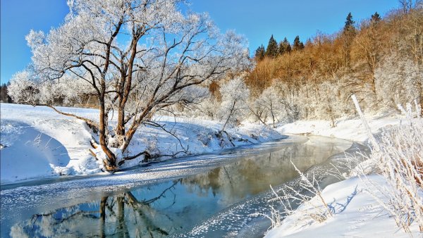 Своя - широкоформатные обои и картинки