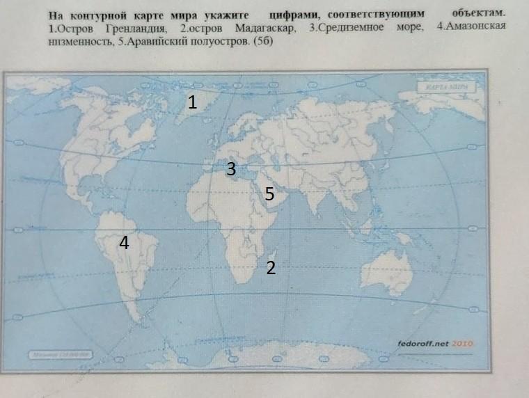 Практическая работа 1