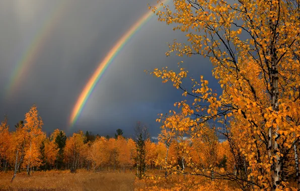 Красивая Природа Осенний Пейзаж — стоковые фотографии и ...