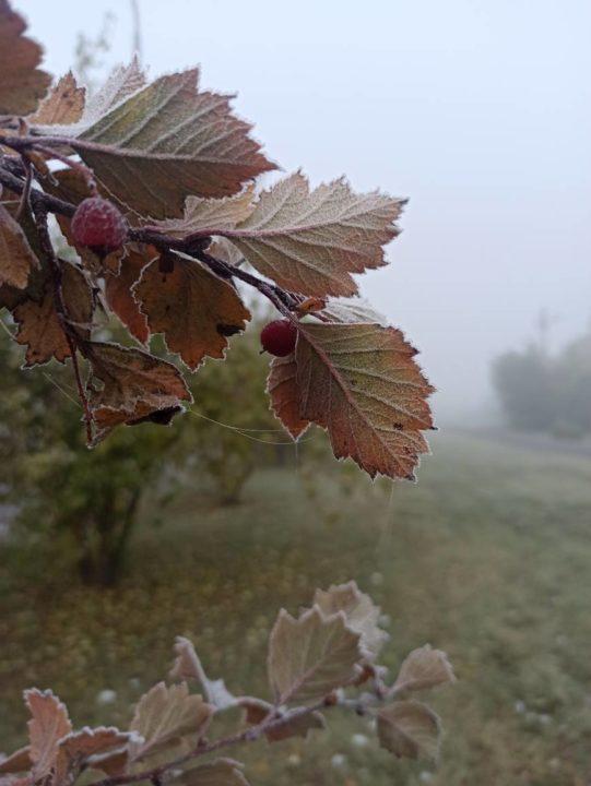 Скачать картинки Кемерово природа, стоковые фото Кемерово ...