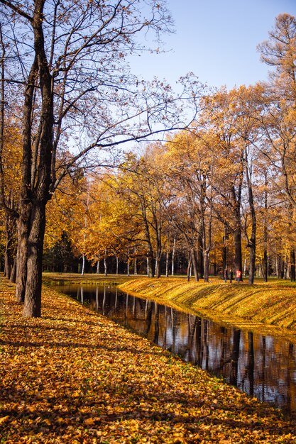 Обои «Осенний парк» (парк осень листва ...