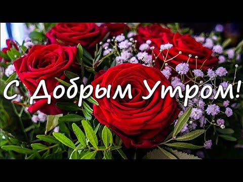 Красивые пожелания с добрым утром ...