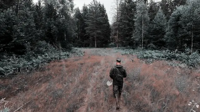 Санкт-Петербург. Город и горожане ...