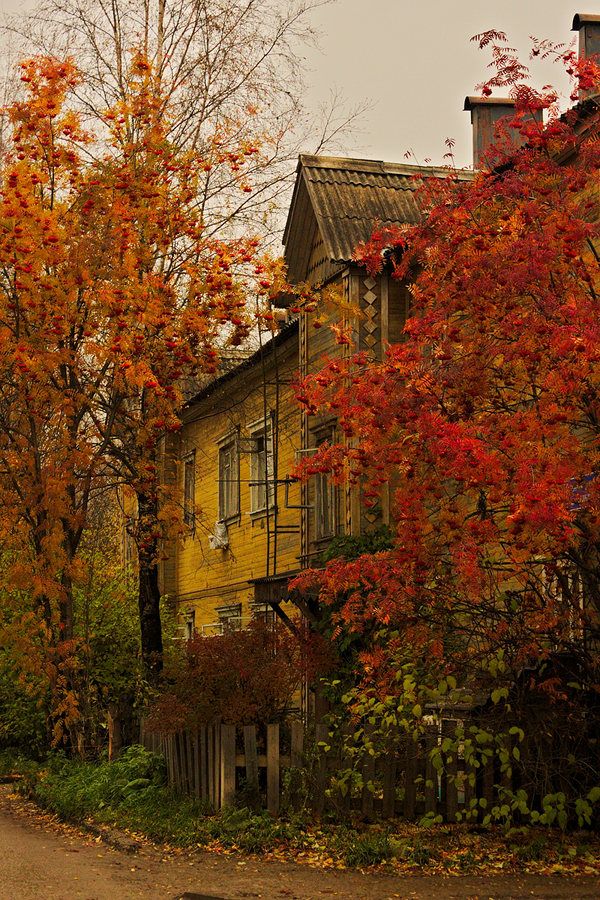 Фотография Осень в городе №248937 - «МОЙ ЛЮБИМЫЙ ГОРОД ...