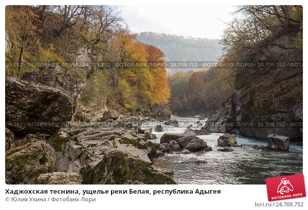 Фото: Хаджохская теснина, природа, Республика Адыгея ...