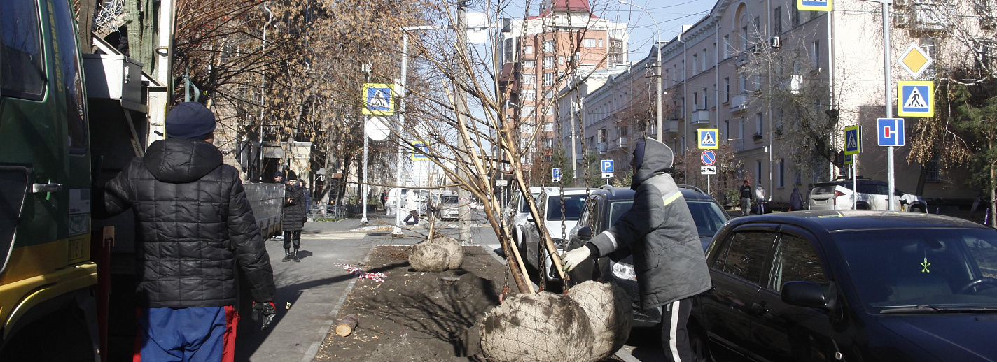 Михайловская набережная заняла первое место по популярности ...