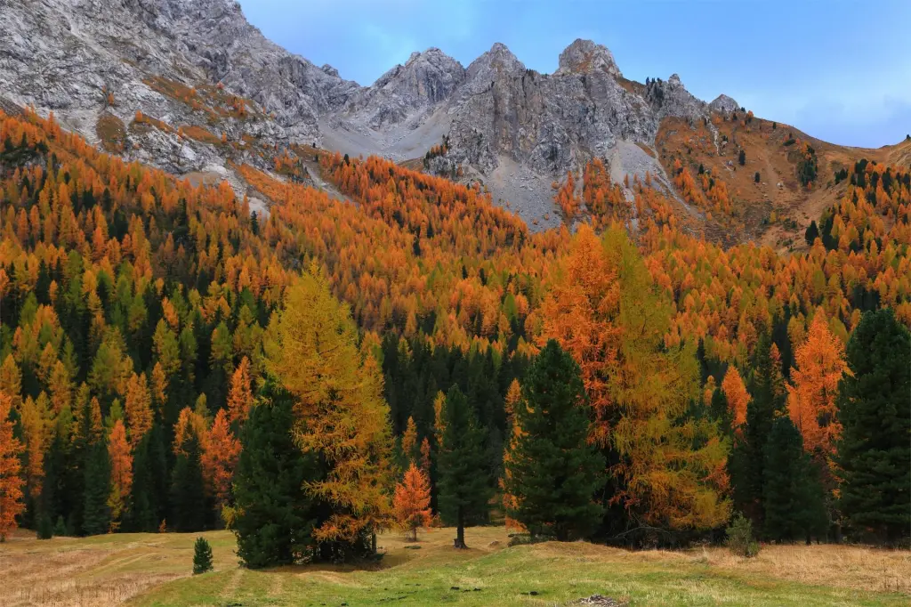 Осень в горах - Зеленое спасение