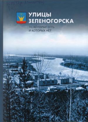 Маршрутка загорелась в Зеленогорске (видео) - Сибновости