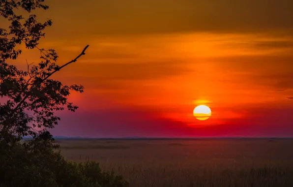 Скачать картинки Летний закат поле, стоковые фото Летний ...