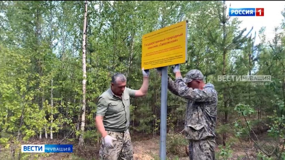 Безопасность в лесу и охрана окружающей среды