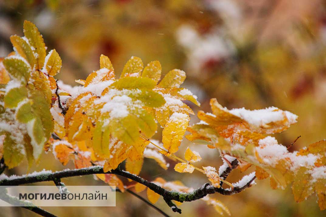 Обои на рабочий стол Темноволосая девушка осень-зима прижала ...