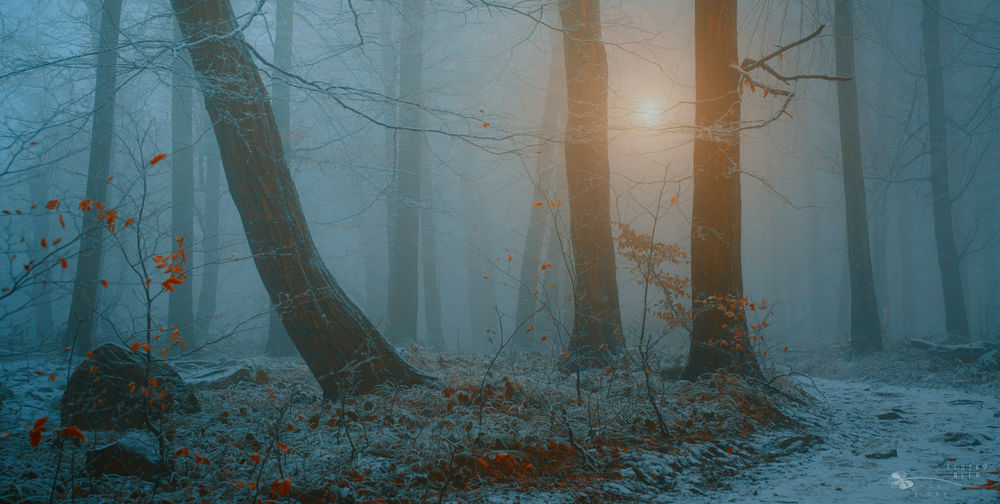 Времена года. Поздняя осень. + лексический материал по теме ...