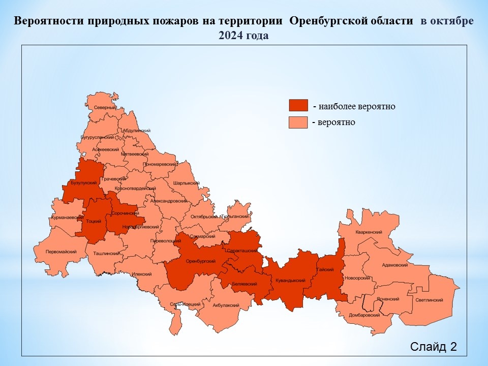 Национальный парк Бузулукский бор