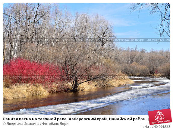 Ранняя весна в деревне