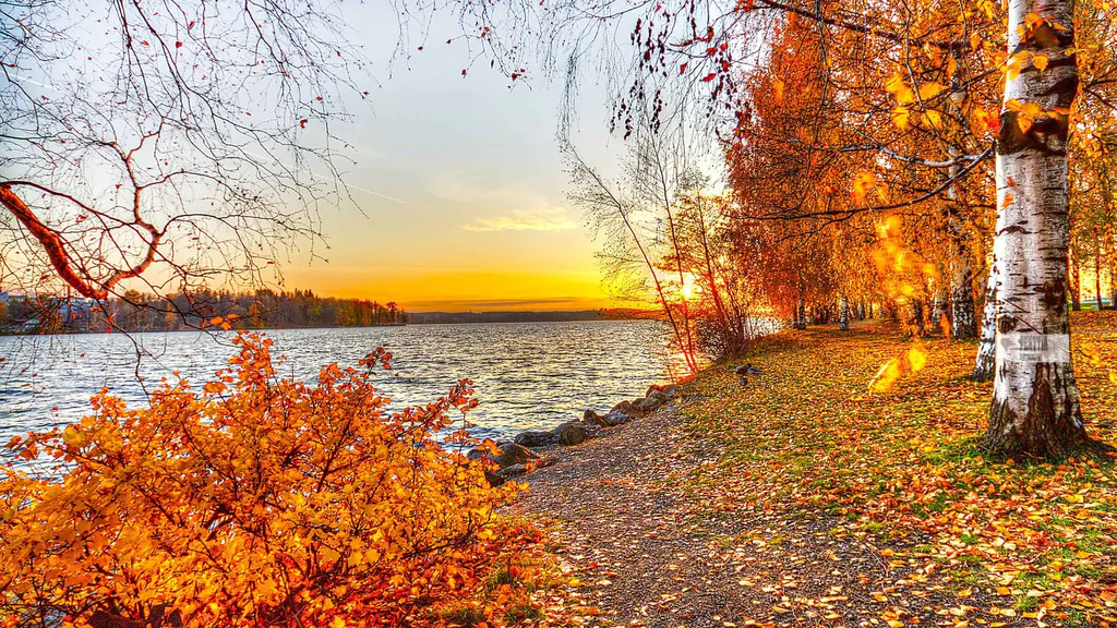 Wallpaper road, autumn, the sky ...