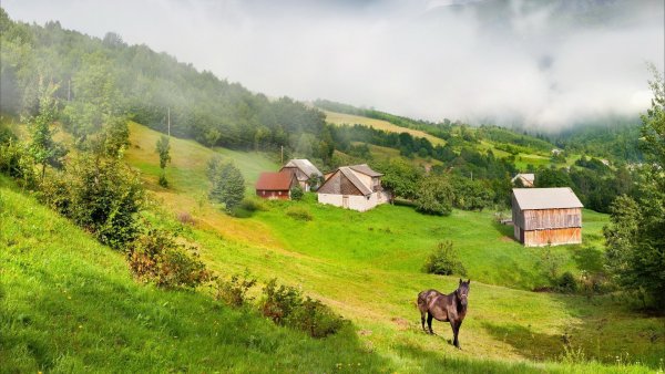 Картинка домик в деревне (47 фото)