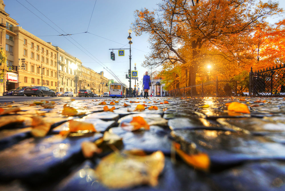 Питер, ранняя осень