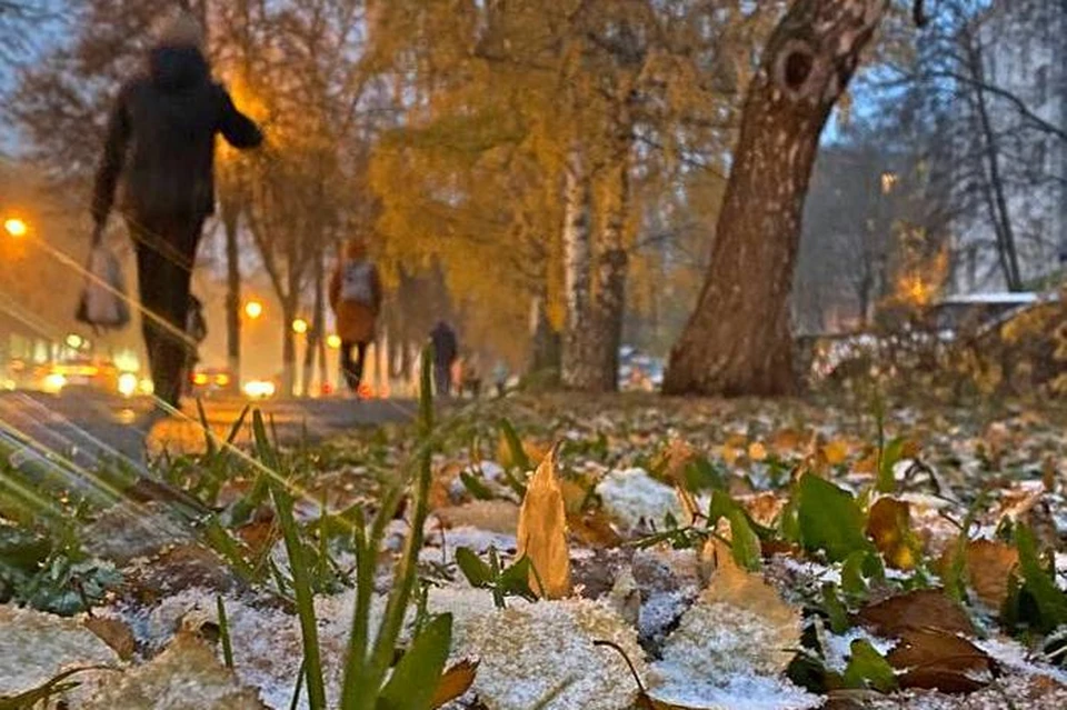 Золотая осень в Уфе: фоторепортаж под шорох падающих листьев ...