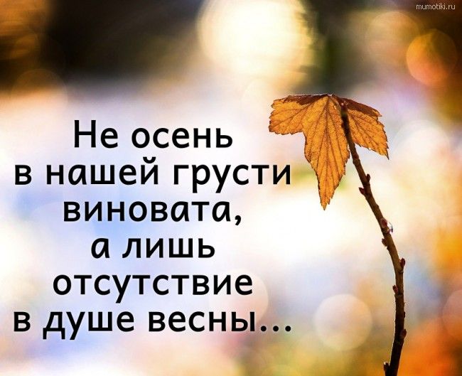 Юлия | #осень#мудрость#итоги#мысли ...