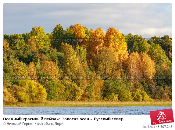 Обои парк, лавочка, поздняя осень ...